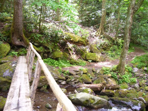 Iconic bridge crossing a stream