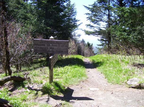 The AT sign at the start of the hike