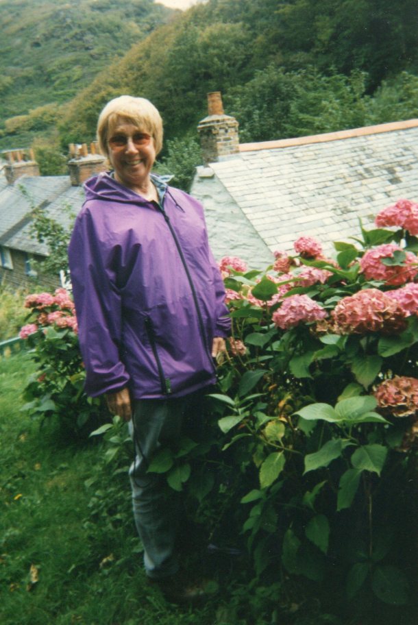 Lee checking out the hydrangeas at Boscastle