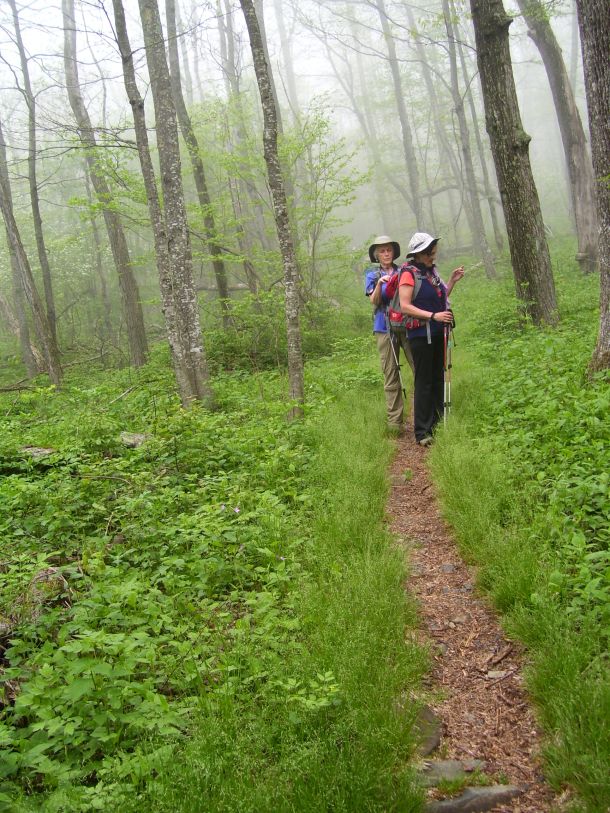 Cindy and Deb strolling