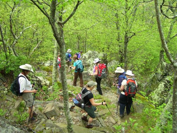 Hiking through the green