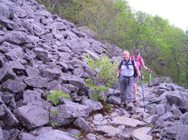 A carpet of boulders