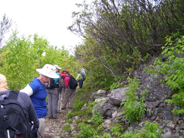 Somewhere...a rattlesnake waits