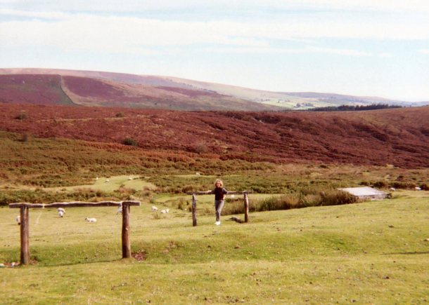 A view of Dartmoor - a wonderful wild place 