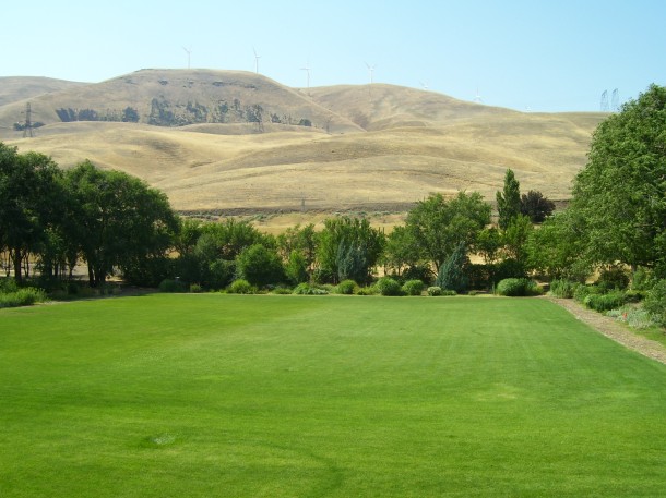 Green green grass at the Maryhill Museum in the middle of desert 