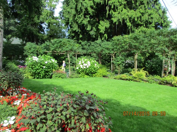 The green is amazing!