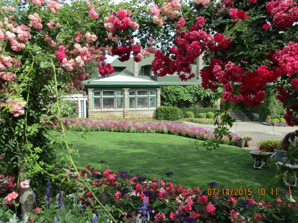 A view of the tearoom