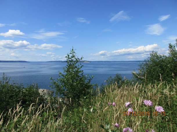 A walk along Puget Sound