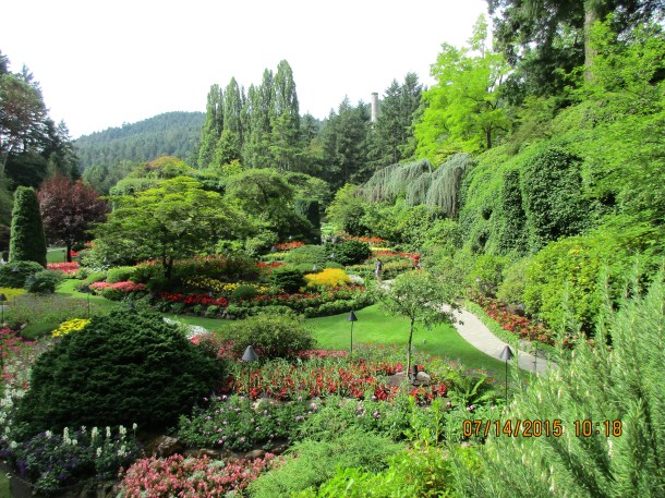 More views of these incredible gardens 
