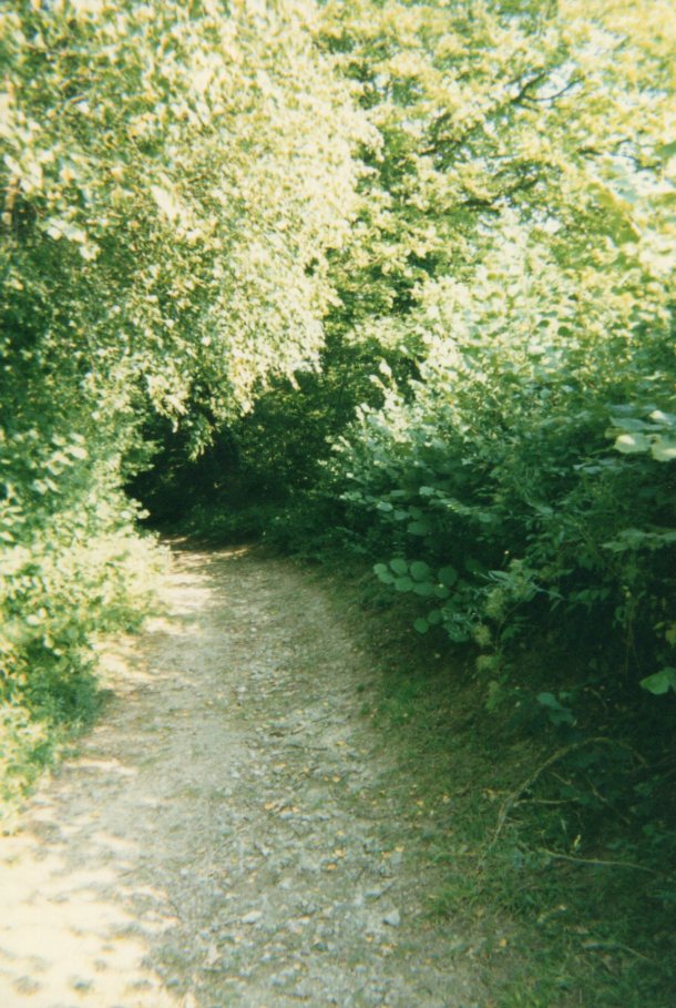 On the Cotswolds Way 