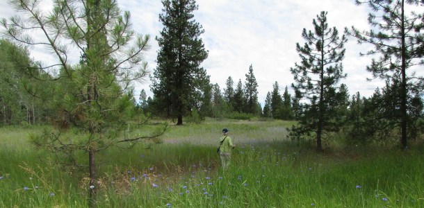 The water treatment plant walk 